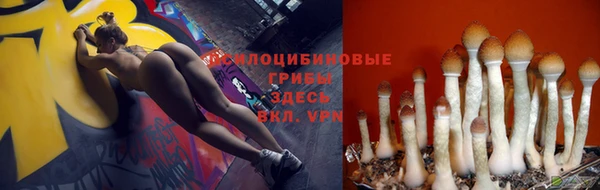мяу мяу мука Балабаново