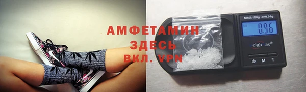 трава Балахна