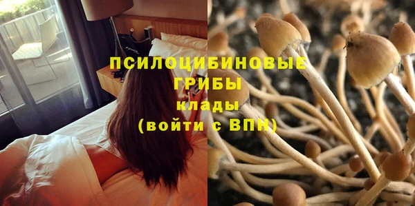 мяу мяу мука Балабаново