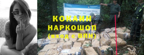 трава Балахна
